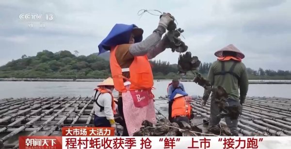 五五策略 大市场&#32;大活力｜“五一”假日餐桌海鲜热度揭秘&#32;生蚝如何抢“鲜”出发？