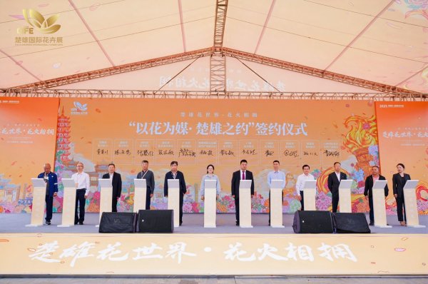爱配配资 鲜花经济绽放产业新活力&#32;云南楚雄国际花卉展启幕