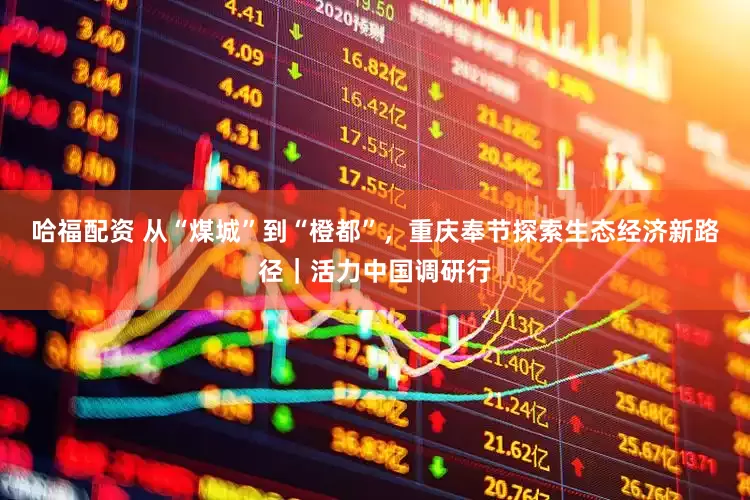 哈福配资 从“煤城”到“橙都”，重庆奉节探索生态经济新路径｜活力中国调研行