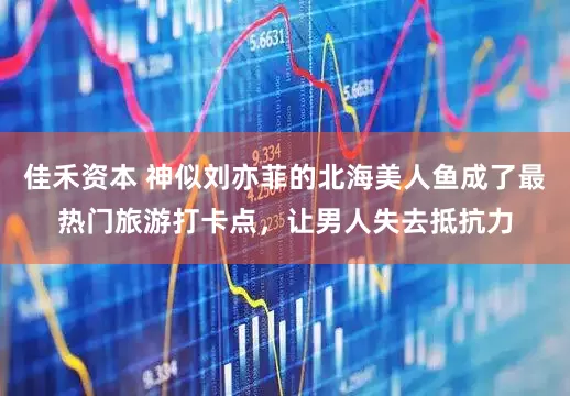 佳禾资本 神似刘亦菲的北海美人鱼成了最热门旅游打卡点，让男人失去抵抗力